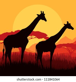 Giraffe family silhouettes in Africa wild nature mountain landscape background illustration vector