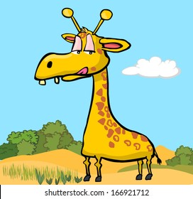 giraffe in the field