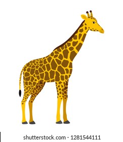 Giraffe flat african animal wildlife vector illustration icon isolated on white eps 10