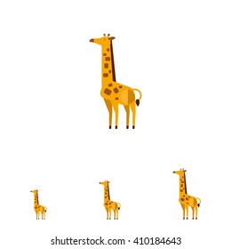 Giraffe flat icon