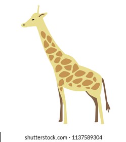 Giraffe. Flat vector illustration. Isolated on white background