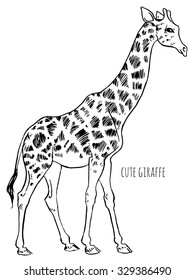giraffe goes - vector hand-drawing sketch