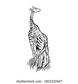 Giraffe-Grafikdesign, Vektorgrafik, Symbol, Kunst-Tattoo-Skizze, Logo, handgezeichnet, Verwendung in gedruckter Form