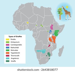 Giraffe Habitat Map. Education vector art illustration
