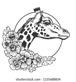 Giraffe head animal engraving vector illustration. Scratch board style imitation. Black and white hand drawn image.