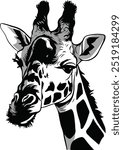 giraffe  head black and white