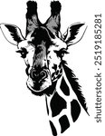 giraffe head black and white
