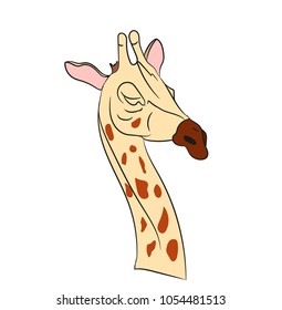 giraffe head color, vector, white background