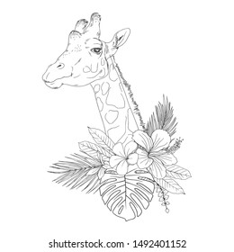 Giraffe head with flowers hand drawn sketch. African animal with camouflage spots black ink illustration. Herbivore mammal with blooming Hibiscus, palm leaves monochrome engraving for coloring book