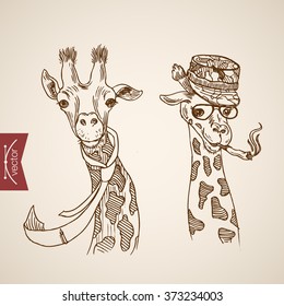 Giraffe head hipster style human like clothes accessory wearing glasses scarf hat smoking cigarette. Engraving style pen pencil crosshatch hatching paper painting retro vintage vector illustration.