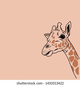 Giraffe head inside square shape animal vector logo