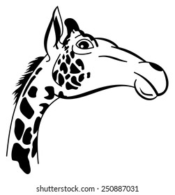 giraffe head outline