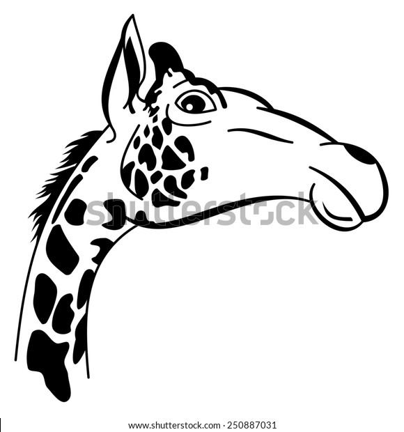 Giraffe Head Outline Stock Vector (Royalty Free) 250887031