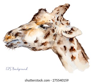 Giraffe Head, Quick Watercolor Sketch, Sketchbook Page, Vector Illustration.