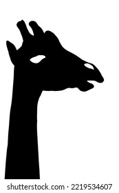 Giraffe Head Silhouette In Black And White