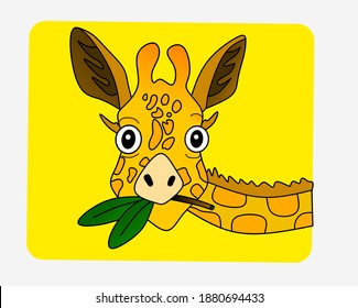 giraffe head vector design that can be used for animal content.