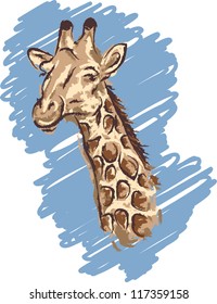 Giraffe head vector sketch drawing.