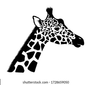 Giraffe head. Wild animal logo artwork design. Black and white vector illustration