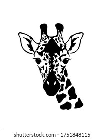 Giraffe head. Wild animal logo artwork design. Black and white vector illustration