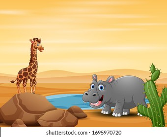 A giraffe and hippopotamus by the small pond