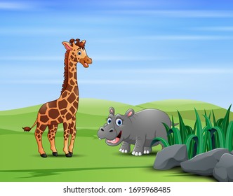 A giraffe with hippopotamus in the green field