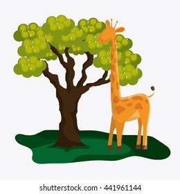 Giraffe icon. Animal design. Safari concept