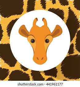 Giraffe icon. Animal design. Safari concept