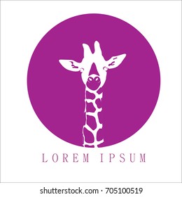 Giraffe icon design with purple background. Logo design.