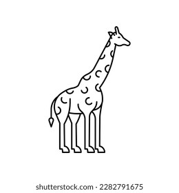 Giraffe icon. High quality black vector illustration.