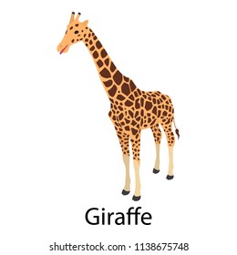 Giraffe icon. Isometric of giraffe vector icon for web design isolated on white background