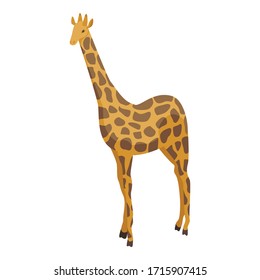 Giraffe icon. Isometric of giraffe vector icon for web design isolated on white background