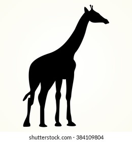 giraffe icon on the background,vector illustration