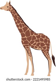 Giraffe icon. Savanha animal. Wild african fauna