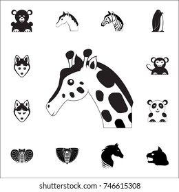 Giraffe icon. Set of animal icons. You can use in web or app icons on white background