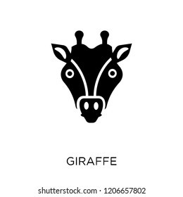 Giraffe icon. Giraffe symbol design from Animals collection. Simple element vector illustration on white background.