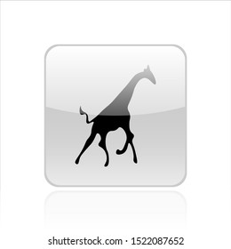 Giraffe icon vector design. Wildlife icons