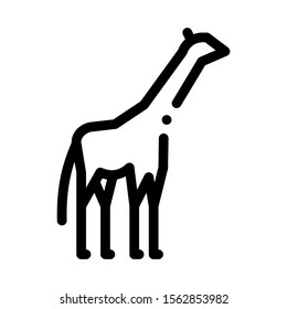 Giraffe Icon Vector. Outline Giraffe Sign. Isolated Contour Symbol Illustration