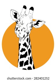 giraffe illustration