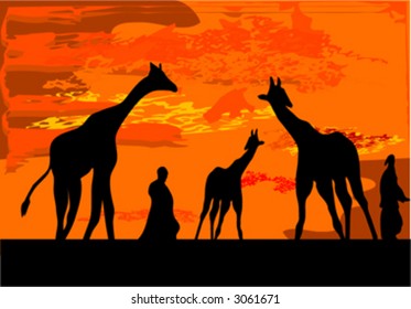 giraffe illustration