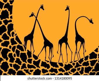 giraffe illustration design