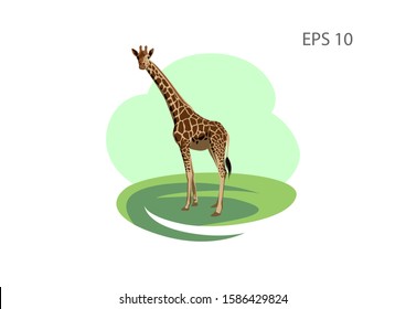 Giraffe illustration, flat vector image.