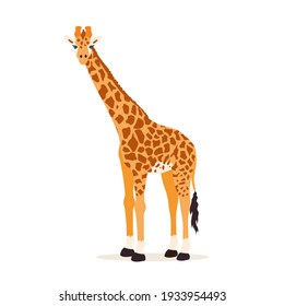 Giraffe illustration isolated on white background - Shutterstock ID 1933954493