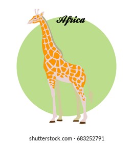 Giraffe illustration on the background of the circle with the inscription Africa. Vector.