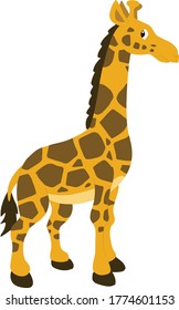 Giraffe illustration vektor on white background. Wildlife and Animal. Hand Drawn vector illustration.