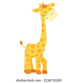 Giraffe illustrations on transparent background