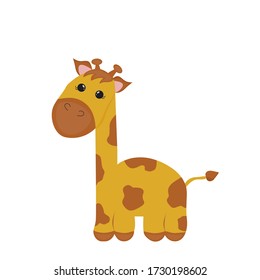 Сute giraffe isolated icon vector illustration design
