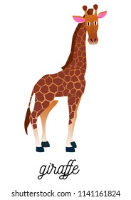 giraffe isolated on white background vector