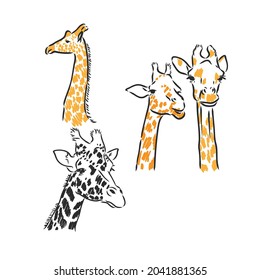 Giraffe - vector aislado con manchas girafa boceto vectorial