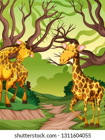 Giraffe Jungle Illustration Stock Vector (Royalty Free) 1311604055 ...