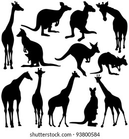 Giraffe & Kangaroo Silhouettes on white background.